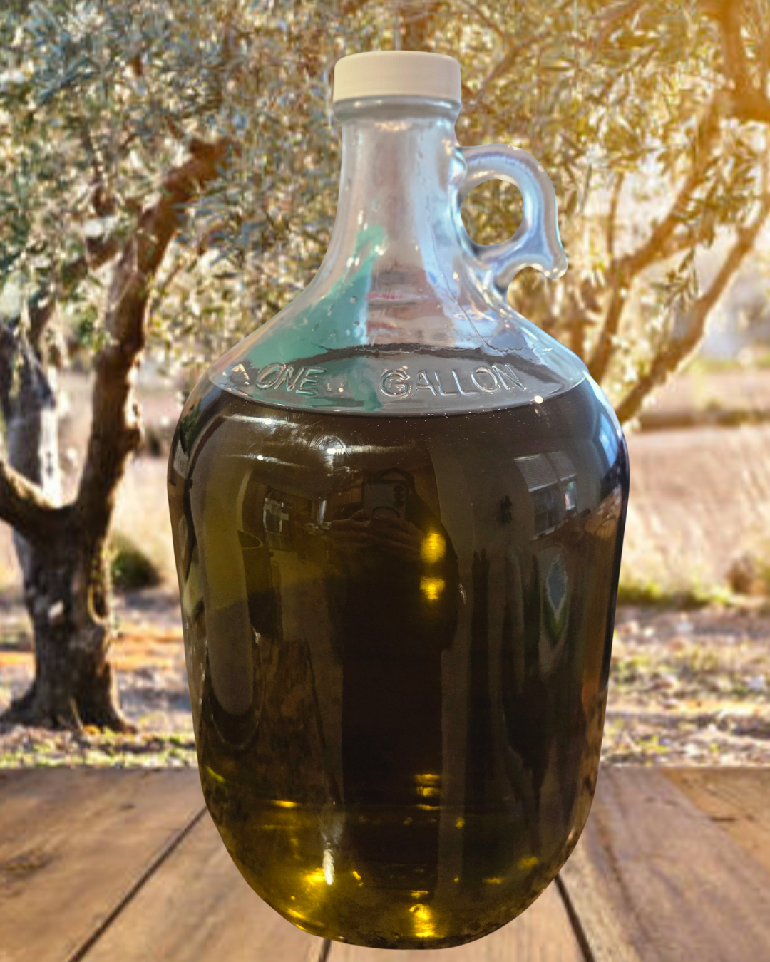 1-Gallon Lebanese Extra Virgin Olive Oil