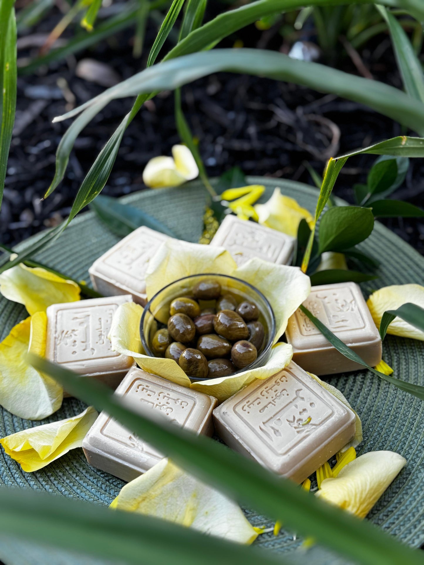 100% Natural Lebanese Olive Oil Soap